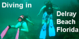 Hire a personal dive guide - Delray Beach, Florida